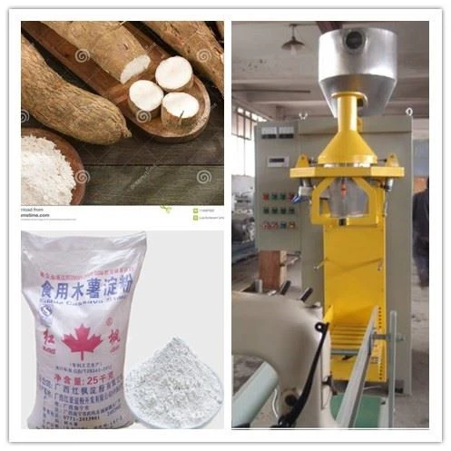 cassawa starch 